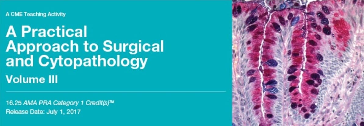 2017 A Practical Approach to Surgical and Cytopathology Vol. III (Videos)