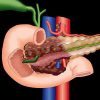 MRIOnline Imaging Mastery Series Pancreas Imaging 2021 (Videos)