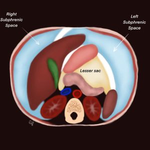 MRIOnline Imaging Mastery Series: Peritoneum and Mesentery 2021 (Videos)