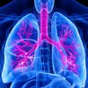 Harvard Pulmonary and Critical Care Medicine 2022 (Videos)