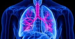 Harvard Pulmonary and Critical Care Medicine 2022 (Videos)