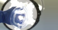 Harvard Anesthesiology Update 2022 (Videos)