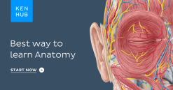 KenHub Human Anatomy 2021 (Videos+Photos)