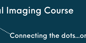 SPR 2021 Neonatal Imaging Course (On-Demand) (Videos)