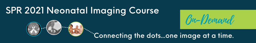 SPR 2021 Neonatal Imaging Course (On-Demand) (Videos)