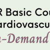 SPR 2021 18th Basic Course on Pediatric Cardiovascular MRI On-Demand (Videos)