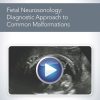 AIUM Fetal Neurosonology: Diagnostic Approach to Common Malformations (Videos)
