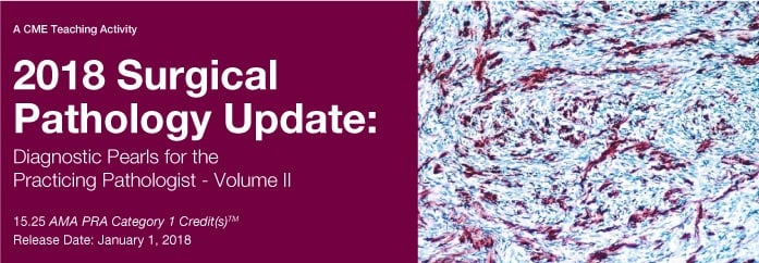 2018 Surgical Pathology Update: Diagnostic Pearls for the Practicing Pathologist (Videos)
