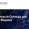 Harvard Advances in Cytology and Small Biopsies 2023 (Videos)
