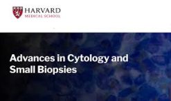 Harvard Advances in Cytology and Small Biopsies 2023 (Videos)