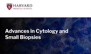 Harvard Advances in Cytology and Small Biopsies 2023 (Videos)
