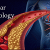 Vascular Technology Review 2022 (Videos)