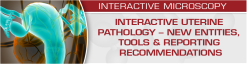 USCAP Interactive Uterine Pathology – New Entities, Tools & Reporting Recommendations 2020 (Videos)