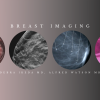 Breast Imaging (BUNDLE) – Debra Ikeda M.D., Alfred Watson M.D 2020 (Videos)