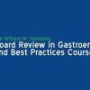 2019 WILLIAM M. STEINBERG BOARD REVIEW IN GASTROENTEROLOGY (Videos)