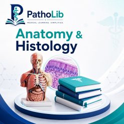 Anatomy & Histology